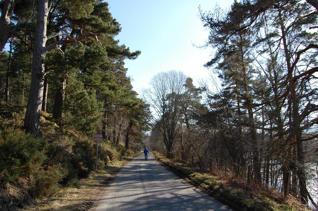 Bed and Breakfast Haus Alba Grantown-on-Spey Exterior foto